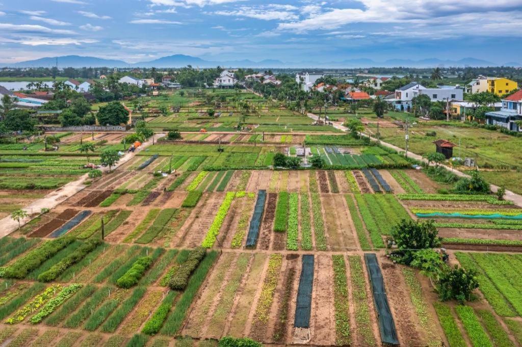 Ha My Beachside Villa Hoi An Ha Bang 外观 照片